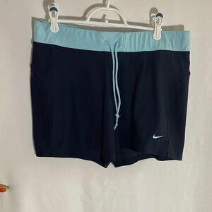 Nike Women’s Dark & Light Blue Shorts, Size Large